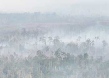 BMKG Ingatkan Potensi Hujan hingga Kabut di Sejumlah Kota Indonesia pada Sabtu