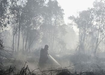 BMKG Mendeteksi 2.945 Titik Panas di Sumatra, Sumsel dan Pekanbaru Terparah
