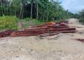 Selain Proteksi Tanah Adat, Komisi XIII DPR RI ‘Buka Suara’ terkait Illegal Logging di PBD