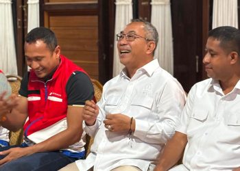 Akses Energi di Teluk Bintuni Dipastikan Terjangkau, Anggota DPR RI : Pentingnya Koordinasi
