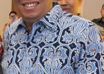 Ramai Serangan ke PLN, PLN WATCH Desak Presiden Tetapkan PLN Jadi Objek Vital Khusus