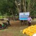 Sinode GKI Tanah Papua Salurkan Bantuan untuk Pengungsi asal Puncak