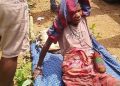 Komnas HAM Disurati Yayasan Keadilan dan Keutuhan Manusia Papua
