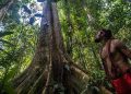 Ketika Leluhur Mengajari Kita Cara Merawat Bumi