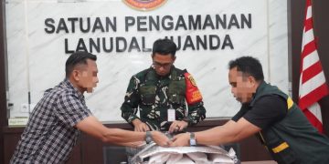 TNI AL Kembali Gagalkan Penyelundupan Puluhan Ribu Benih Bening Lobster Jaringan Internasional di Bandara Juanda