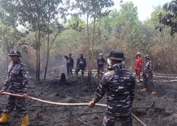 TNI AL dan Tim SAR Gabungan Berupaya Padamkan Karhutla di Banjar