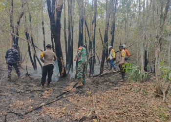 Sinergi TNI AL dan Tim Gabungan Tangani Karhutla di Desa Sekarang, Kalsel