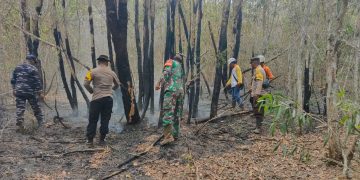 Sinergi TNI AL dan Tim Gabungan Tangani Karhutla di Desa Sekarang, Kalsel