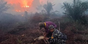 Tanggap Darurat Karhutla, TNI AL Bersama TIM Gabungan Padamkan Kebakaran Lahan di Jambi