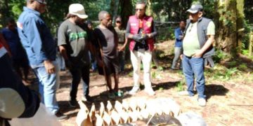 Puluhan Selongsong Peluru Ditemukan di Lokasi Penembakan Warga Sipil di Maybrat