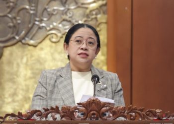 Puan Minta Penanganan Karhutla Satu Kendali Lindungi Warga