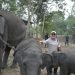 Penanganan Karhutla di Taman Nasional Way Kabas Disoroti DPR RI