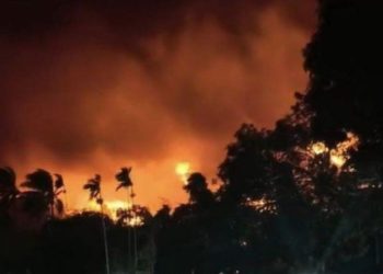 Papua Barat Naikkan Status Karhutla dari Siaga ke Waspada