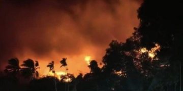 Papua Barat Naikkan Status Karhutla Jadi dari Siaga ke Waspada