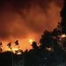 Papua Barat Naikkan Status Karhutla Jadi dari Siaga ke Waspada