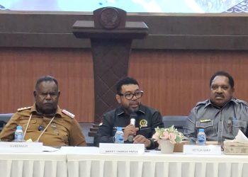 Soal Konflik Bersenjata di Papua Barat Daya, DPD RI Dorong Lima Poin Krusial
