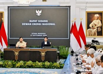 Persiapan E50 untuk Perkuat Kemandirian Energi Indonesia, Presiden Prabowo Pimpin Sidang DEN