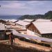 Ketegangan yang Makin Memanas dalam Sengketa West Papua