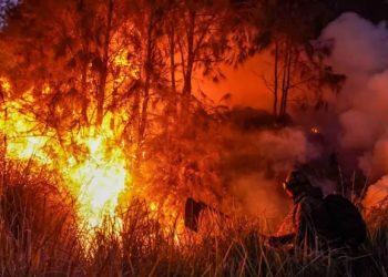 Polisi Tetapkan 112 Tersangka Kasus Karhutla hingga September 2026