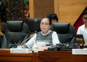 Wakil Ketua Komisi X DPR Ingatkan Status Guru PPPK Harus Jamin Karier dan Pemerataan