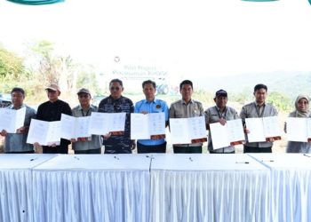 Kemenko Pangan Perkuat Produksi Kedelai Nasional