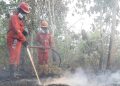 DPR Soroti Dampak Asap Karhutla di Kalimantan, ISPA hingga Pakan Ternak Terganggu
