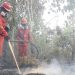 DPR Soroti Dampak Anggota Komisi IV DPR RI Bambang Purwanto di Kalimantan, ISPA hingga Pakan Ternak Terganggu