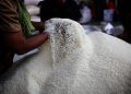 Anggota Komisi IV DPR RI Dorong Stabilisasi Harga Beras agar Petani Untung dan Konsumen Tetap Terjangkau