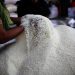 Anggota Komisi IV DPR RI Dorong Stabilisasi Harga Beras agar Petani Untung dan Konsumen Tetap Terjangkau