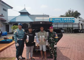 TNI AL Gagalkan Penyelundupan 75.535  Ekor Benih Bening Lobster Senilai Miliaran Rupiah
