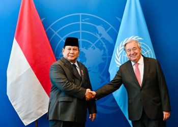 Presiden Prabowo Didesak Berikan Akses kepada PIF dan Dewan HAM PBB