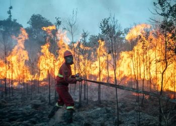 Meluas hingga Papua, Karhutla Akan Dibahas Di KTT ASEAN Manila