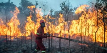 Meluas hingga Papua, Karhutla Akan Dibahas Di KTT ASEAN Manila