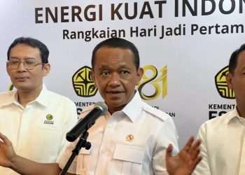 Pemerintah Indonesia akan Hentikan Ekspor Gas ke Negara Tetangga