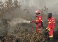Anggota Komisi IV DPR Minta Penanganan Karhutla Prioritaskan Penyelamatan Ekosistem