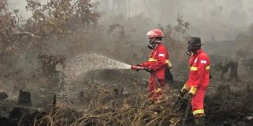 Anggota Komisi IV DPR Minta Penanganan Karhutla Prioritaskan Penyelamatan Ekosistem