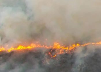 Kabut Asap Karhutla Meluas, DPR Minta Layanan Kesehatan di Wilayah Terdampak Disiagakan