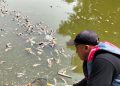 DLH Kota Bekasi Tangani Bangkai Ikan Sapu-Sapu di Kali Bekasi, KP2C Sampaikan Apresiasi