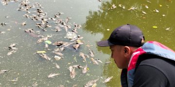 DLH Kota Bekasi Tangani Bangkai Ikan Sapu-Sapu di Kali Bekasi, KP2C Sampaikan Apresiasi